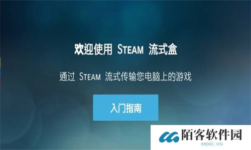 Steam link